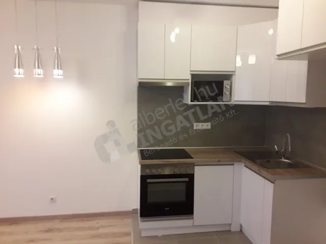 Kiadó lakás Budapest XIII. kerület, Meder utca 45 nm