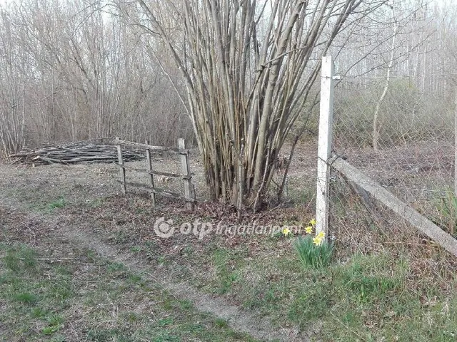 Eladó telek Ráckeve, Somlyó-sziget 367 nm