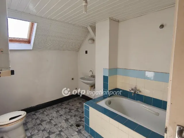 Eladó ház Délegyháza 194 nm