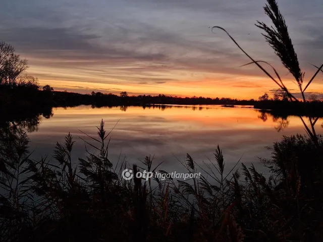 Eladó üdülő és hétvégi ház Délegyháza 67 nm