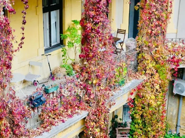 Eladó lakás Budapest IX. kerület 124 nm