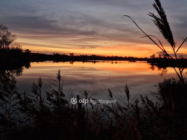 Eladó üdülő és hétvégi ház Délegyháza 67 nm