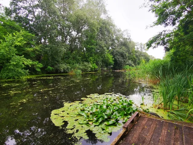 Eladó üdülő és hétvégi ház Ráckeve 52 nm