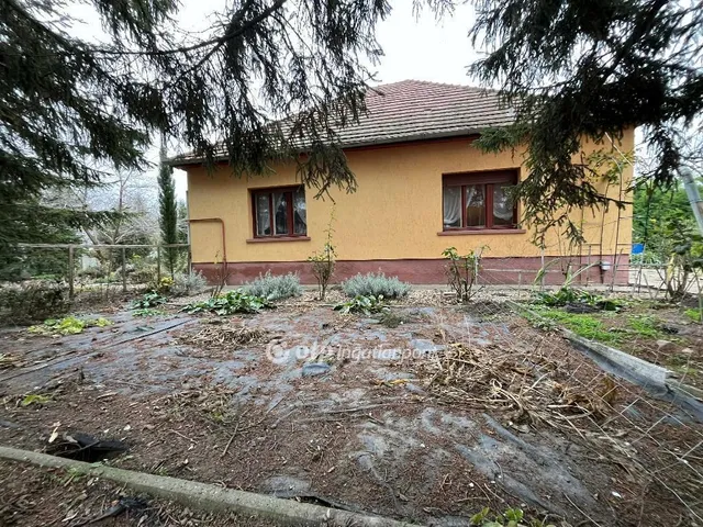 Eladó ház Szalkszentmárton 90 nm