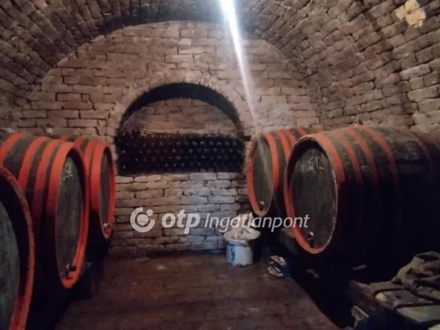 Eladó mezőgazdasági ingatlan Szekszárd, Szőlőhegy 18 nm