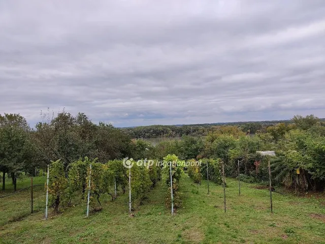 Eladó telek Kulcs 1253 nm