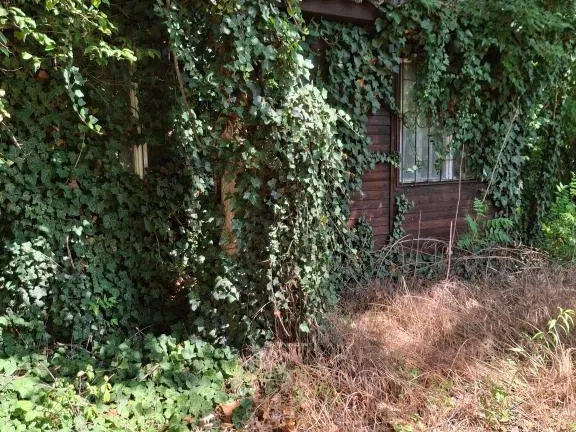 Eladó telek Ráckeve 547 nm