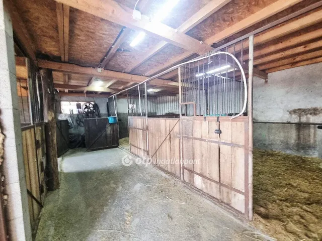 Eladó ház Kunszentmiklós 130 nm