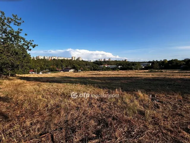 Eladó telek Dunaújváros 15516 nm