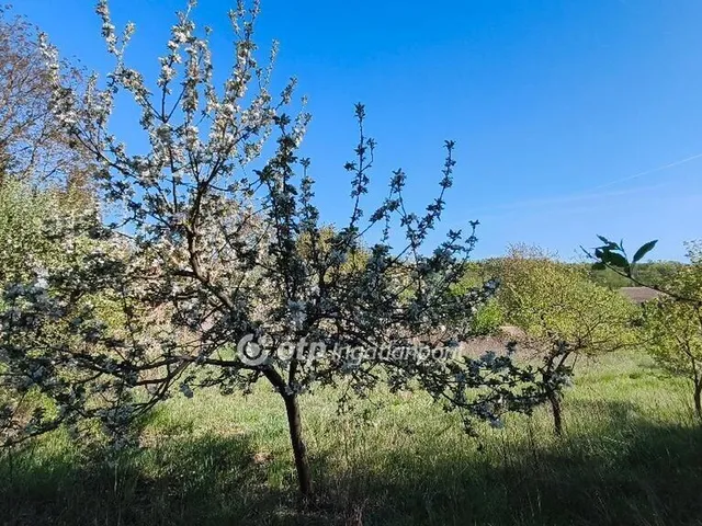 Eladó telek Dunaújváros 1633 nm
