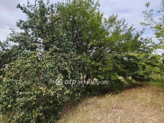 Eladó telek Kulcs 2927 nm