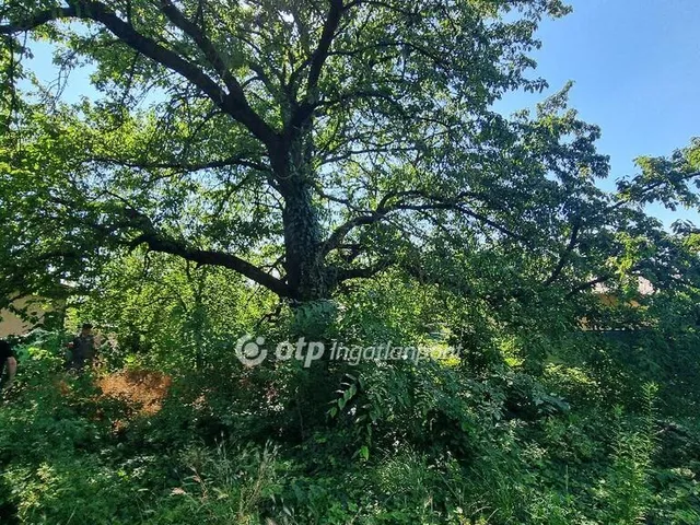 Eladó telek Kulcs 1187 nm