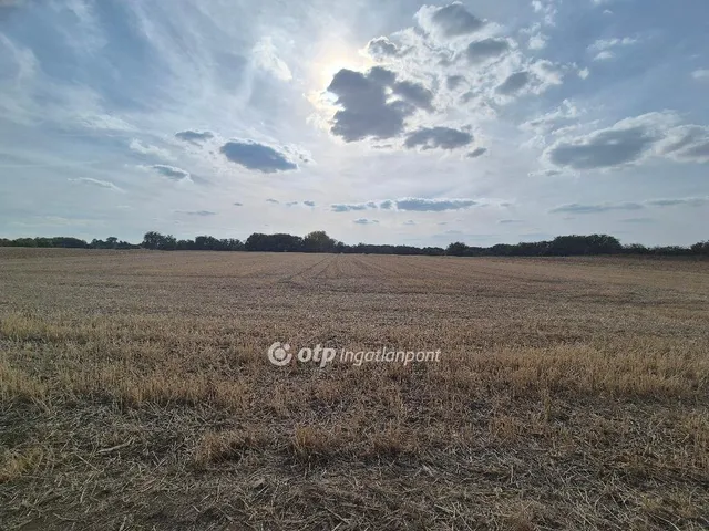 Eladó telek Előszállás 3808 nm
