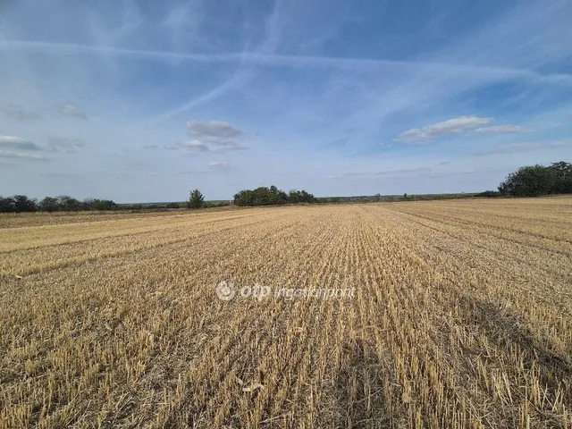 Eladó telek Előszállás 8156 nm