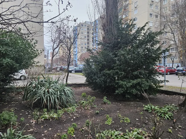 Eladó lakás Győr, Adyváros 53 nm