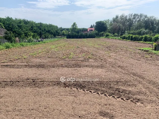 Eladó telek Kálmánháza 2453 nm