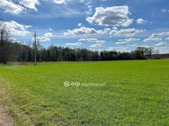 Eladó ház Debrecen, Pallag 105 nm