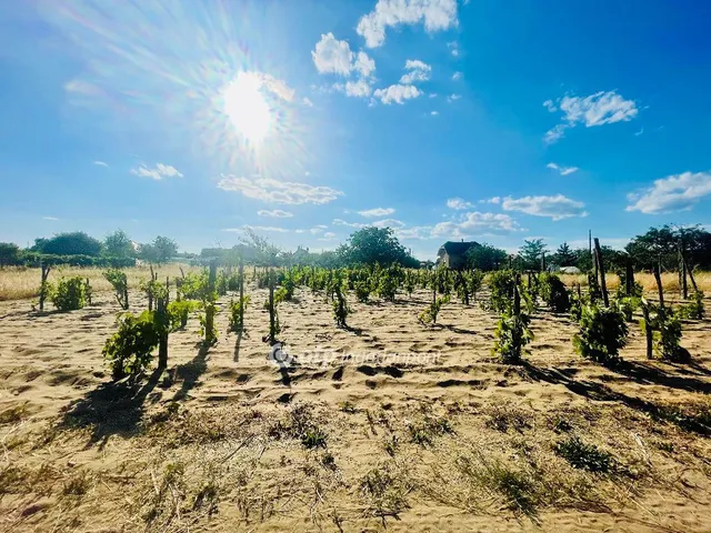 Eladó telek Debrecen 1429 nm