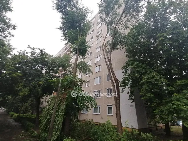 Eladó lakás Debrecen, Vénkert 71 nm