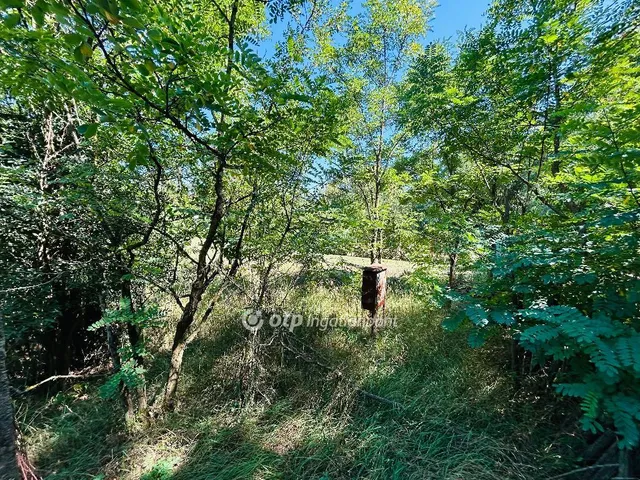 Eladó telek Bocskaikert 1240 nm