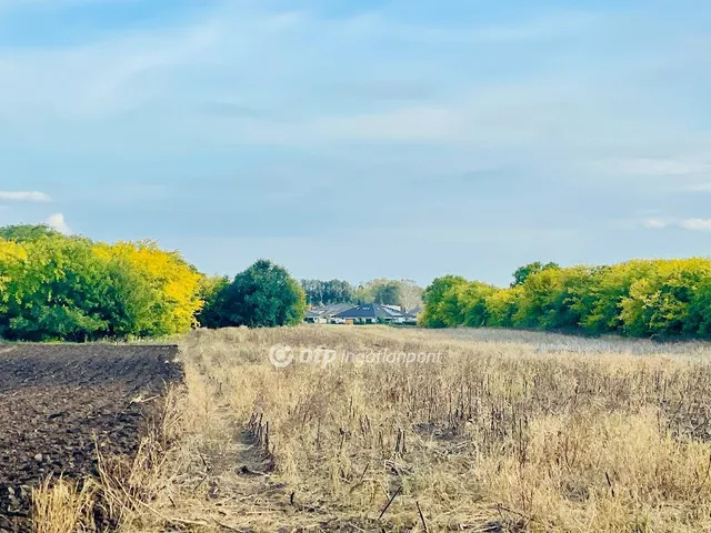 Eladó telek Debrecen, Pallag 3080 nm