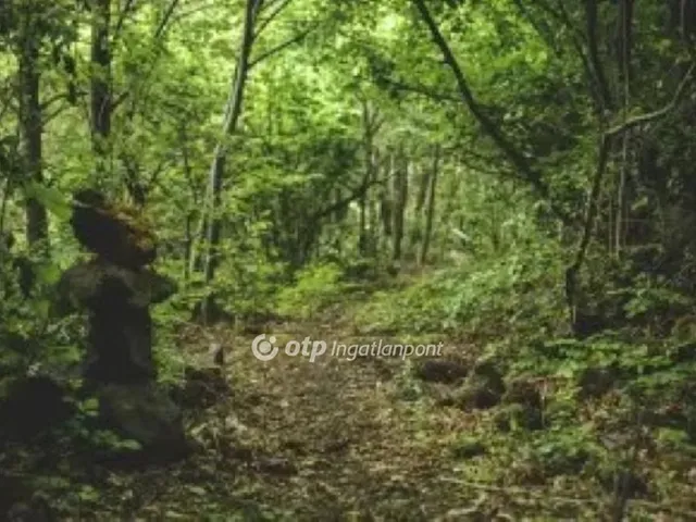 Eladó mezőgazdasági ingatlan Debrecen 5270 nm