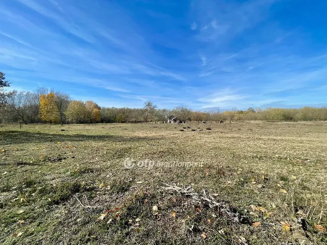 Eladó telek Hosszúpályi 1000 nm