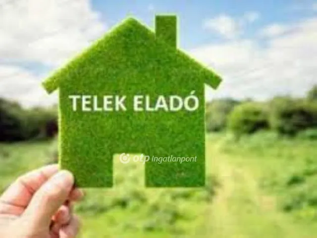 Eladó telek Sáránd 36000 nm