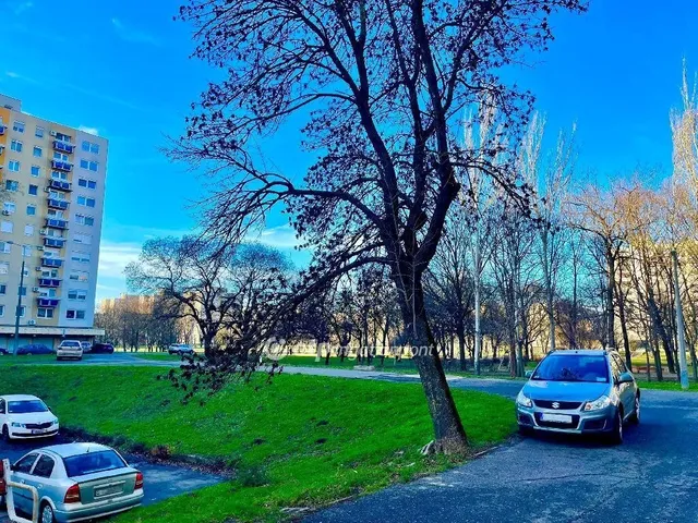 Eladó lakás Debrecen, Tócóskert 72 nm