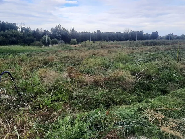 Eladó telek Fertőszentmiklós, Ifjúság tér 604 nm