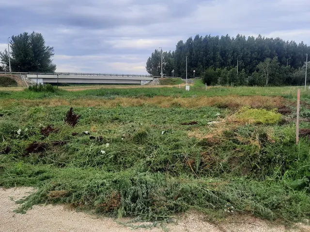 Eladó telek Fertőszentmiklós, Ifjúság tér 604 nm