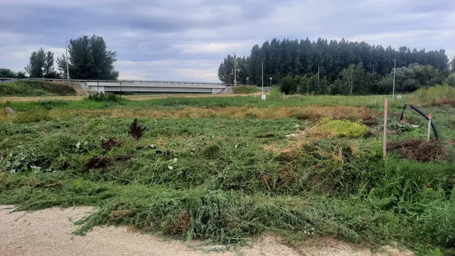 Eladó telek Fertőszentmiklós, Szerdahely, Ifjúság tér 604 nm