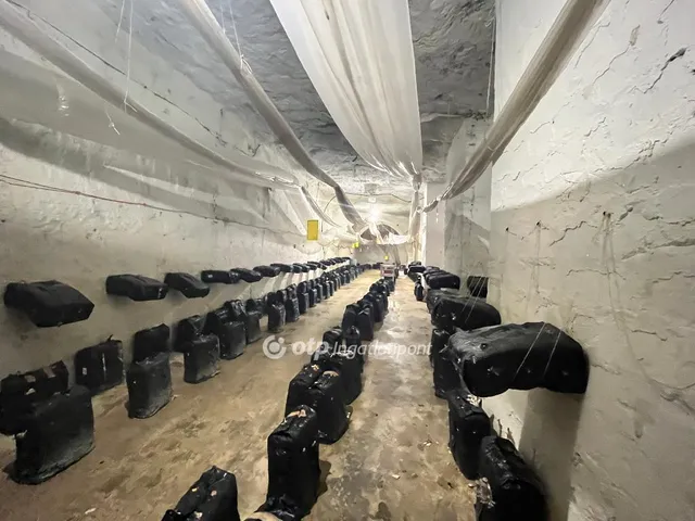Eladó kereskedelmi és ipari ingatlan Budapest XXII. kerület, Nagytétény-Óhegy 560 nm
