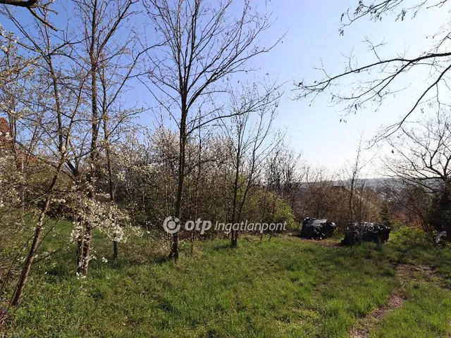 Eladó telek Pécel, Apácadomb 1658 nm