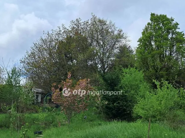 Eladó ház Budapest III. kerület, Aranyhegy 135 nm