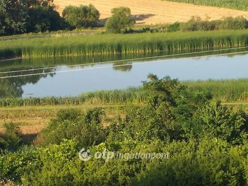 Eladó telek Villánykövesd 1694 nm
