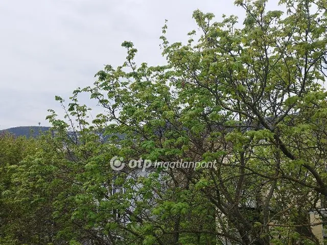 Eladó lakás Budapest III. kerület 79 nm
