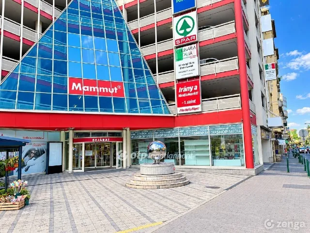 Eladó kereskedelmi és ipari ingatlan Budapest II. kerület, Országút 220 nm