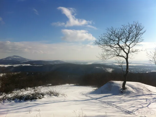 Eladó telek Kismaros, Börzsönyliget, Pillangó utca 35650 nm