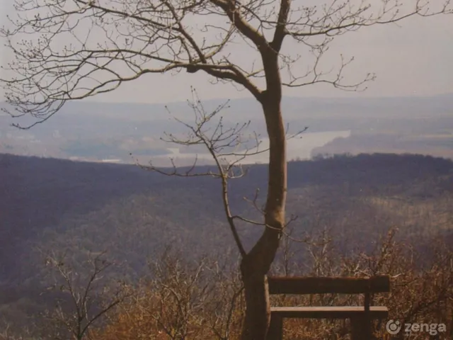 Eladó telek Kismaros, Börzsönyliget 35650 nm