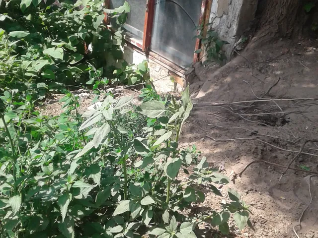 Eladó üdülő és hétvégi ház Sümeg, Újhegy dülő 40 nm