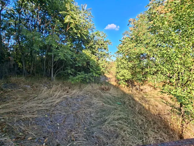Eladó telek Tárnok, Fő utca 65. 4413 nm