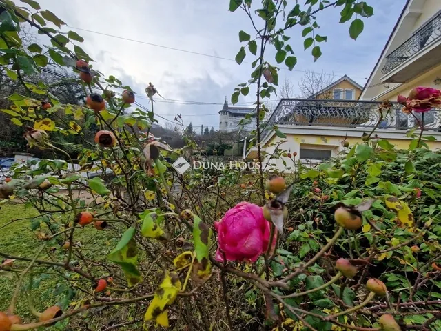 Kiadó ház Budapest XXII. kerület, Budafok-Rózsavölgy 145 nm
