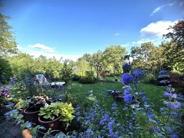 Eladó ház Tahitótfalu 126 nm