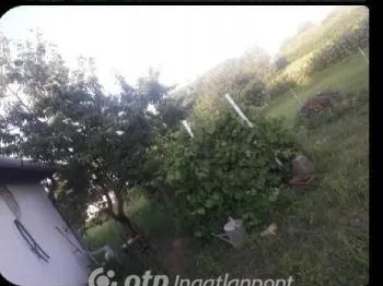 Eladó mezőgazdasági ingatlan Napkor 130 nm