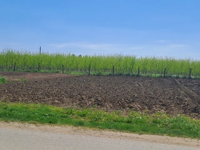 Eladó telek Napkor 937 nm