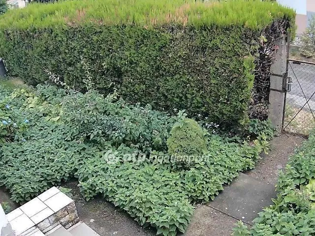 Eladó ház Vásárosnamény 100 nm