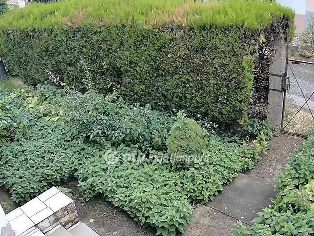 Eladó ház Vásárosnamény 100 nm