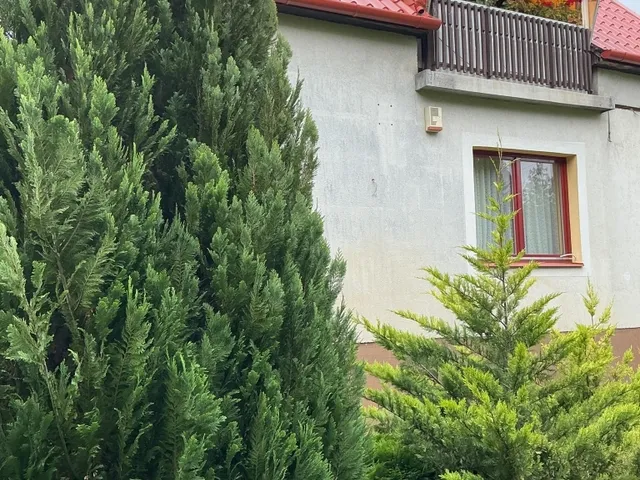 Eladó ház Nyíregyháza 75 nm
