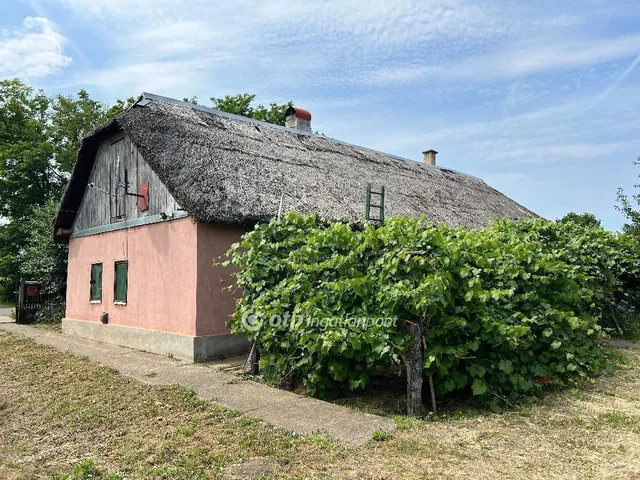 Eladó mezőgazdasági ingatlan Nyírtelek 80 nm